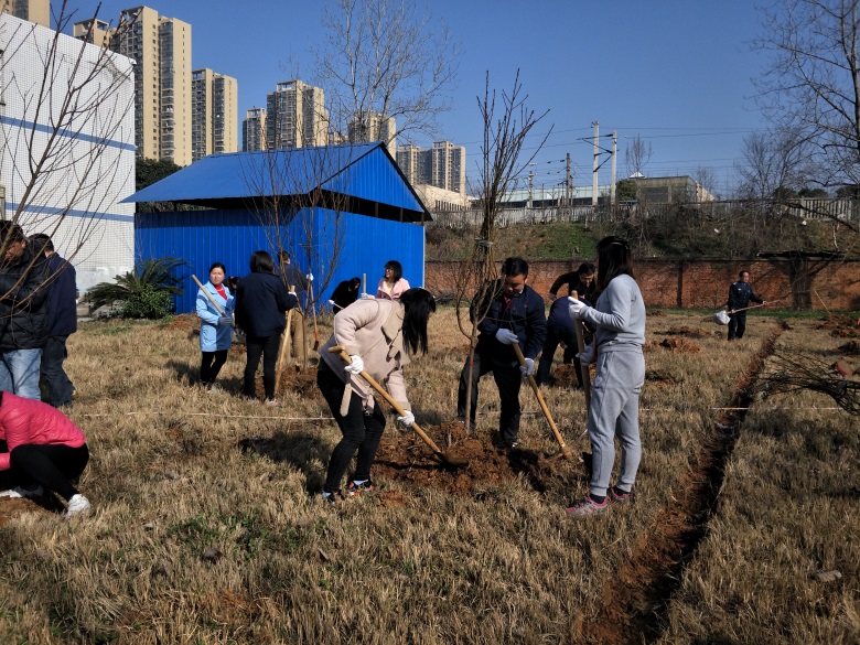 微信图片_20180310104401.jpg